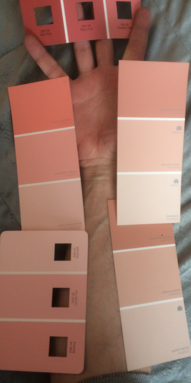 image of my skin tone compared to paint sample cards