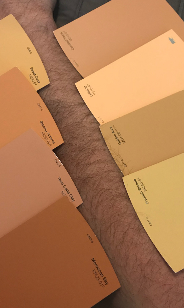 image of my skin tone compared to paint sample cards