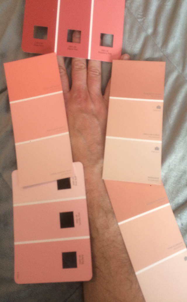 image of my skin tone compared to paint sample cards