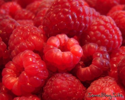 ripe, juicy raspberries