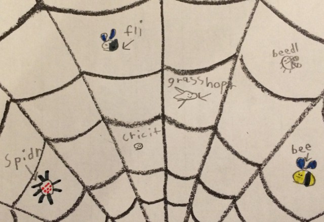 image of a first-grade crayon drawing showing bugs stuck in a web