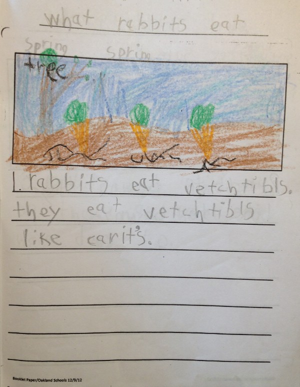 image of a kindergartener's story about rabbits, how they bounce