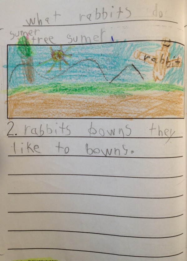 image of a kindergartener's story about rabbits, what rabbits do