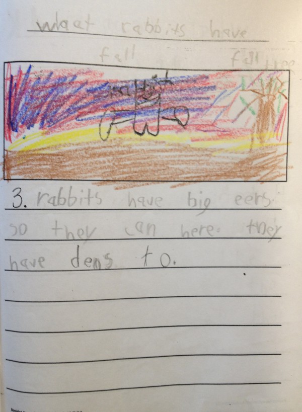 image of a kindergartener's story about rabbits, table of contents