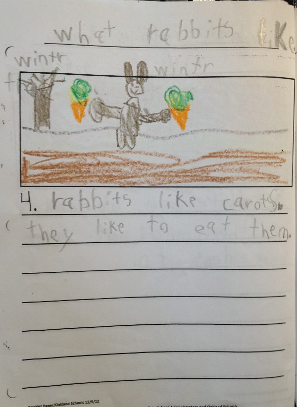 image of a kindergartener's story about rabbits, what rabbits like