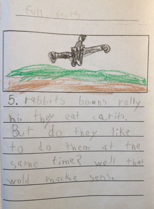 image of a kindergartener's story about rabbits, fun facts