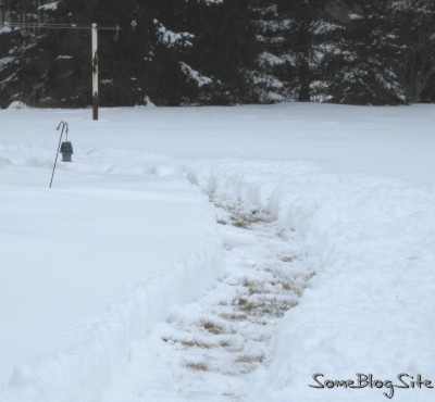 picture of path shoveled through the snow