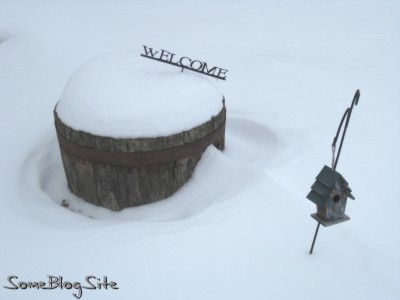picture of flower barrel covered by snow