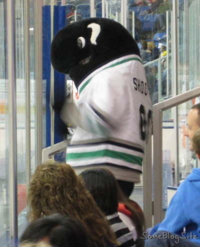 minor-league hockey mascot