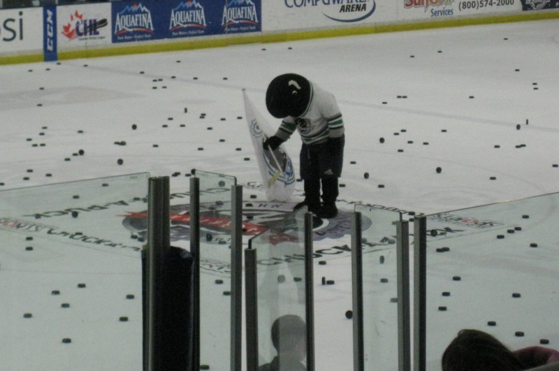 picture of a hockey rink with a lot of pucks on the ice