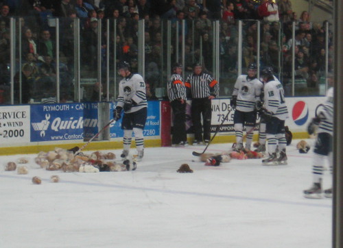 picture of a hockey rink with a lot of teddy bears on the ice
