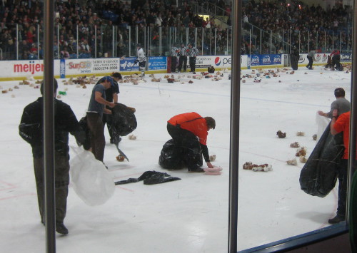 picture of a hockey rink with a lot of teddy bears on the ice