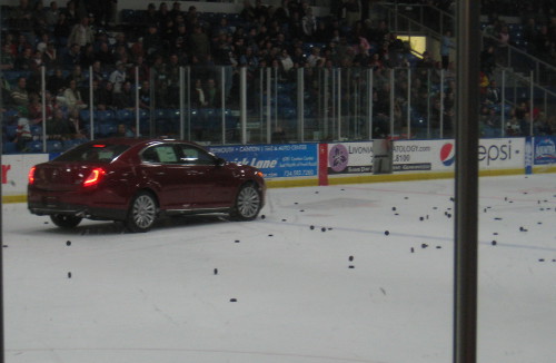 picture of a hockey rink with a lot of pucks on the ice