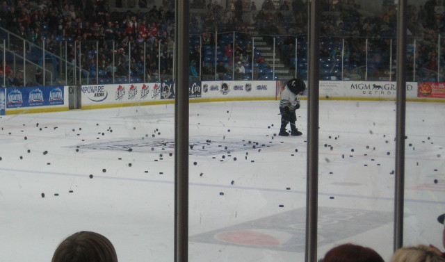 picture of a hockey rink with a lot of pucks on the ice