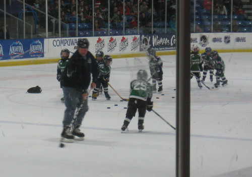 picture of a hockey team warming up