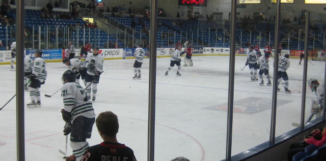 picture of a hockey team warming up