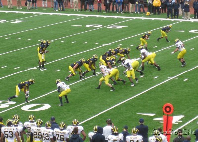 picture of the Michigan football spring game