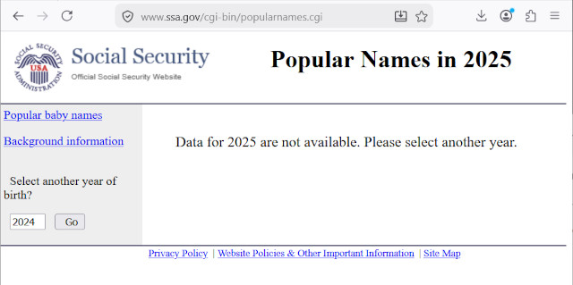 image of the error from the social security administration website that uses data as a plural like it should be