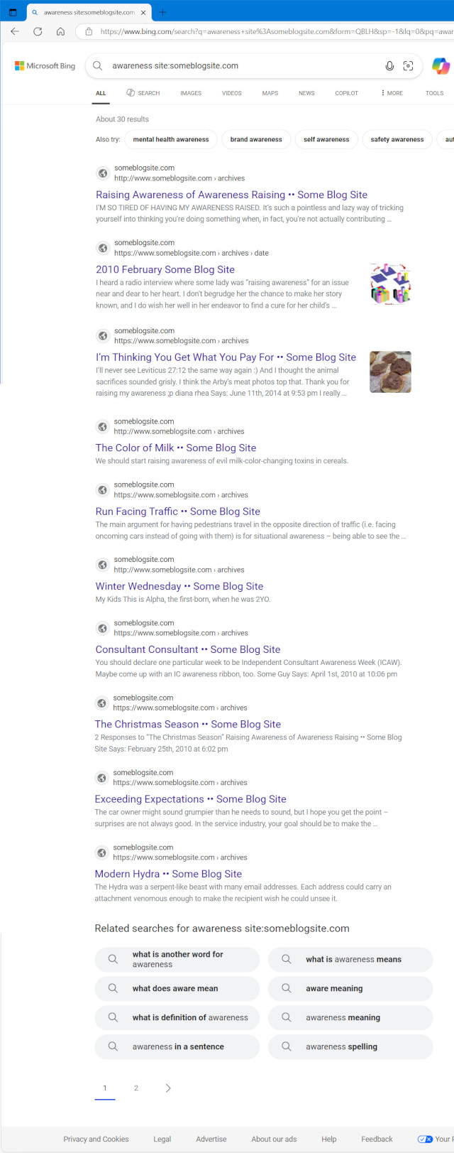 image of search results from Google for the term awareness on someblogsite.com