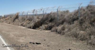 photo of tumbleweeds piled against a chain-link fence