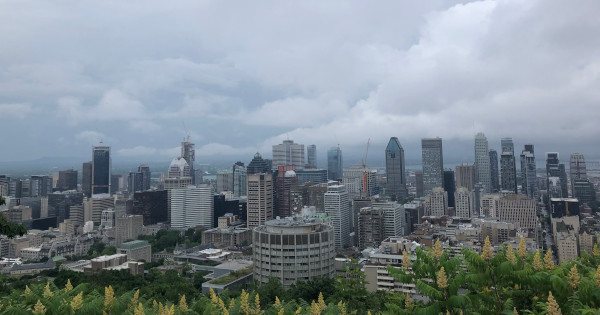 image of the city of Montreal as seen from Mount Royal park