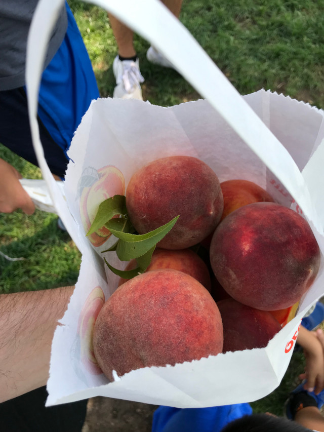 image of peaches from the farmer's market in Colorado Springs