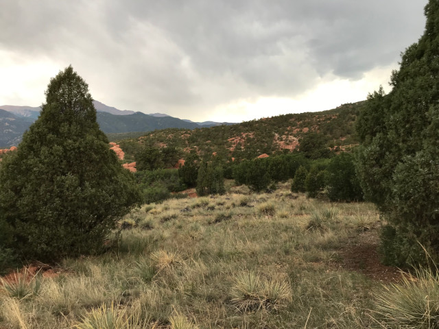 image of the view from a trail at Garden of the Gods in Colorado Springs