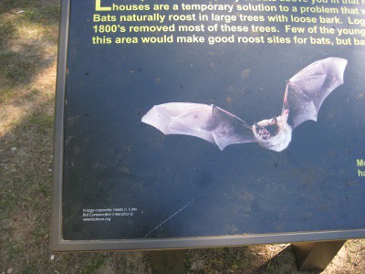 picture of a sign about bats