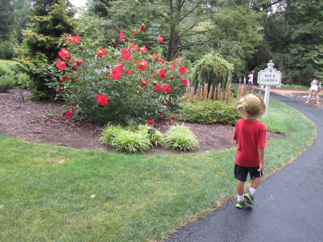 photo of some flowers in Hershey Gardens