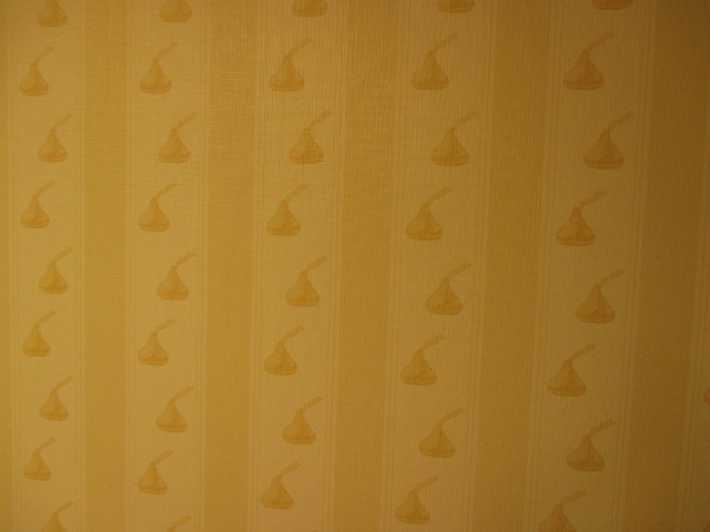 photo of the wallpaper at Hershey Lodge