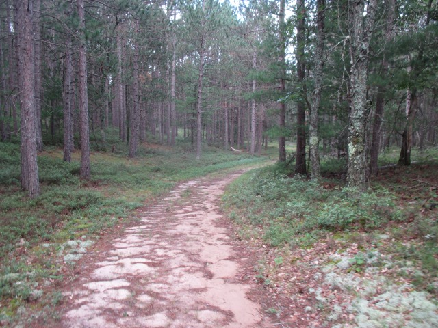 image of hiking in the national forest