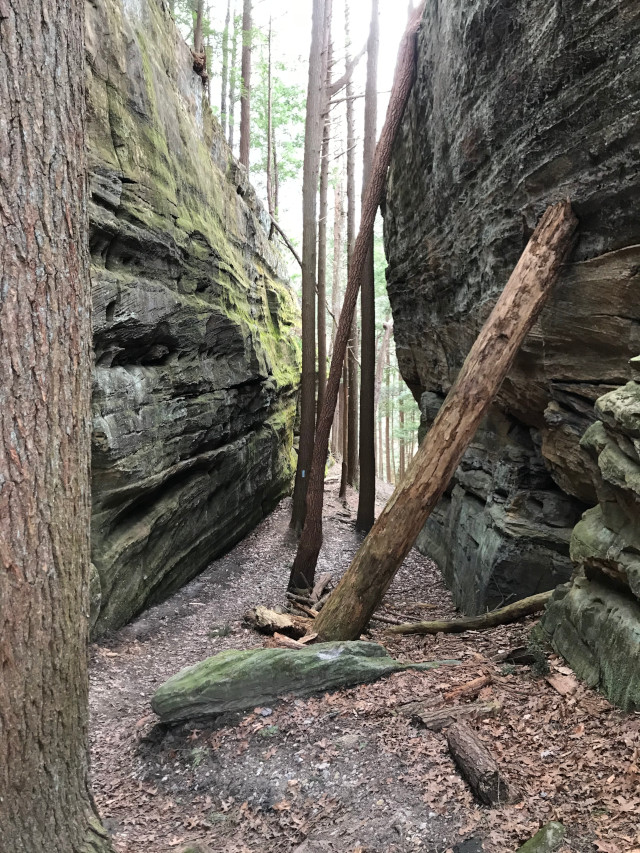 image of part of the path to balancing rock in Hocking Hills Ohio