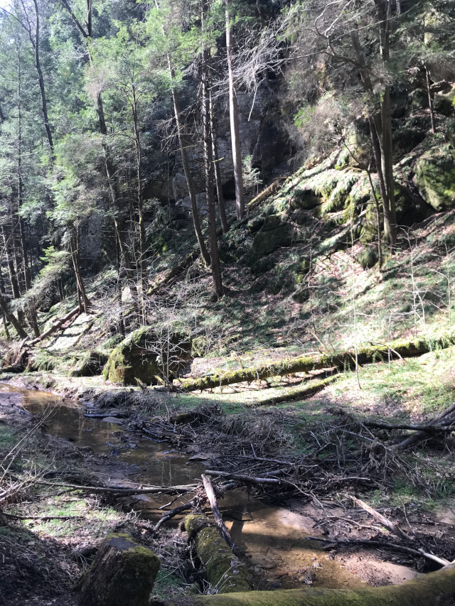 image of the scenery at Conkles Hollow hiking area in Hocking Hills Ohio