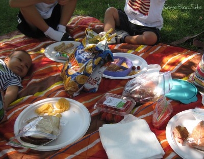 photo of food at a picnic