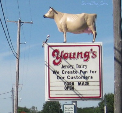 cow sign at Young's Jersey Dairy in Yellow Springs, Ohio