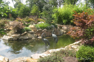 pond with water features at hte creation museum