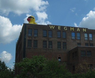 Wegman's duck on top of a building