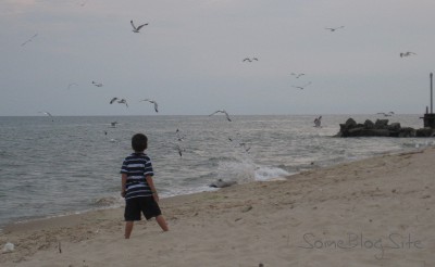 picture of a child chasing seagulls at the Lake Michigan beach at Maranatha