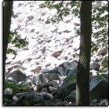 picture of the rocks and trees at Devil's Lake State Park
