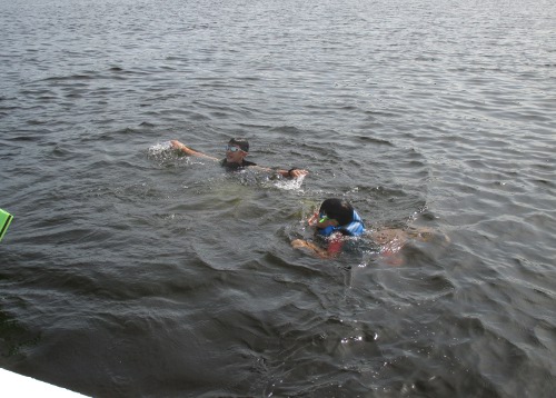image of swimming in a Minnesota lake