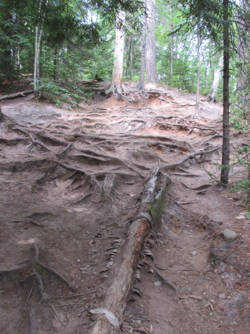 image of the Dead River Falls trail