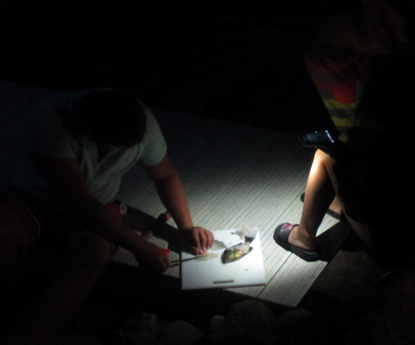 photo of a fish being cleaned in the dark