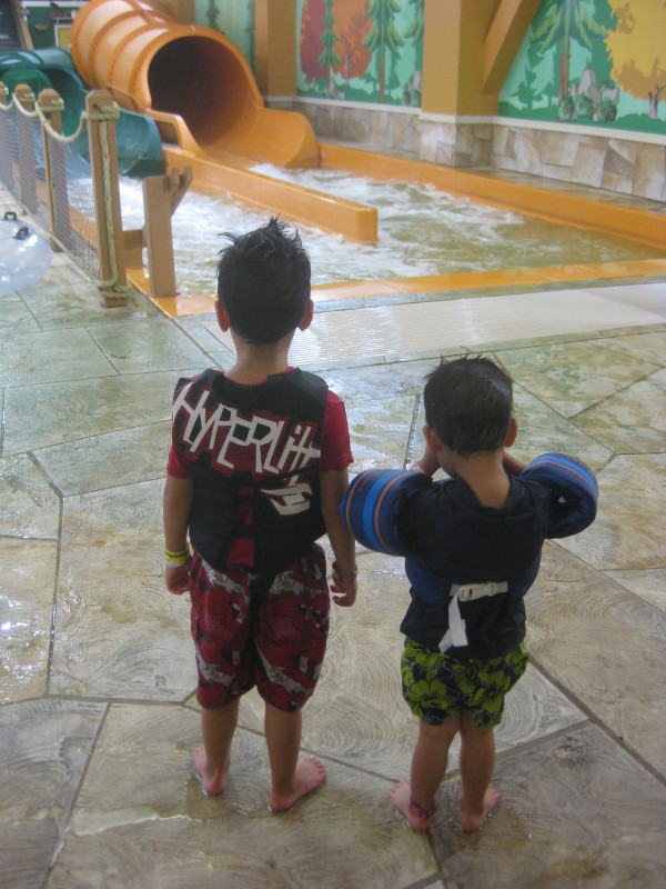 photo of children watching water slides at Great Wolf Lodge