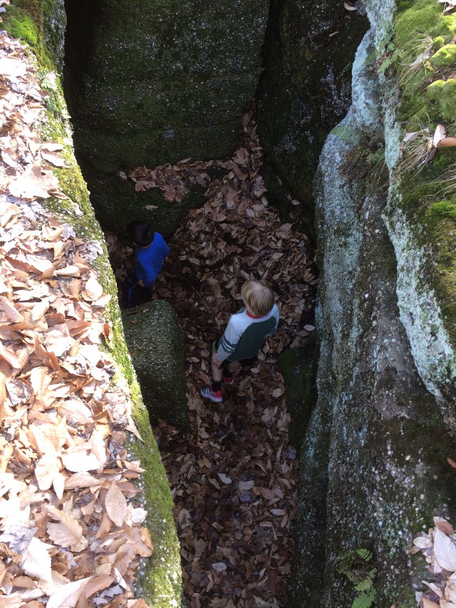 image of a walk through Nelson Ledges State Park