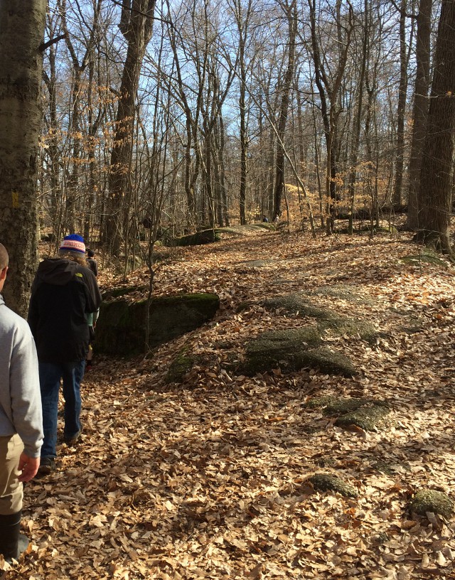 image of a walk through Nelson Ledges State Park