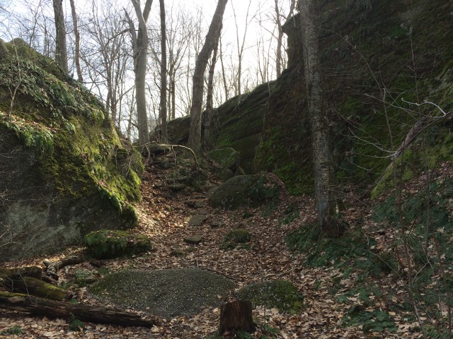 image of a walk through Nelson Ledges State Park