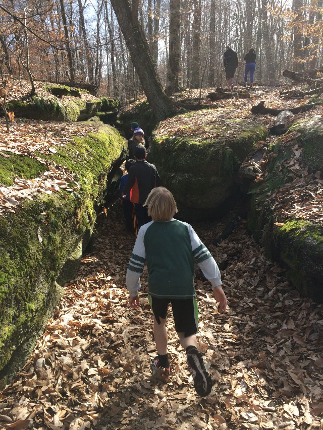 image of a walk through Nelson Ledges State Park