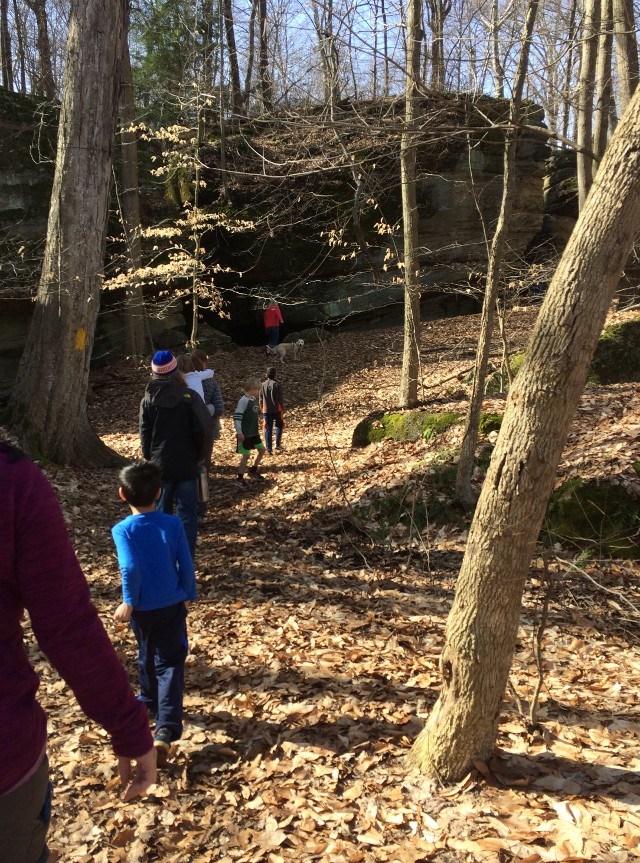 image of a walk through Nelson Ledges State Park