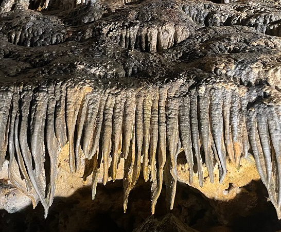 image of the fish market formation at Luray Caverns