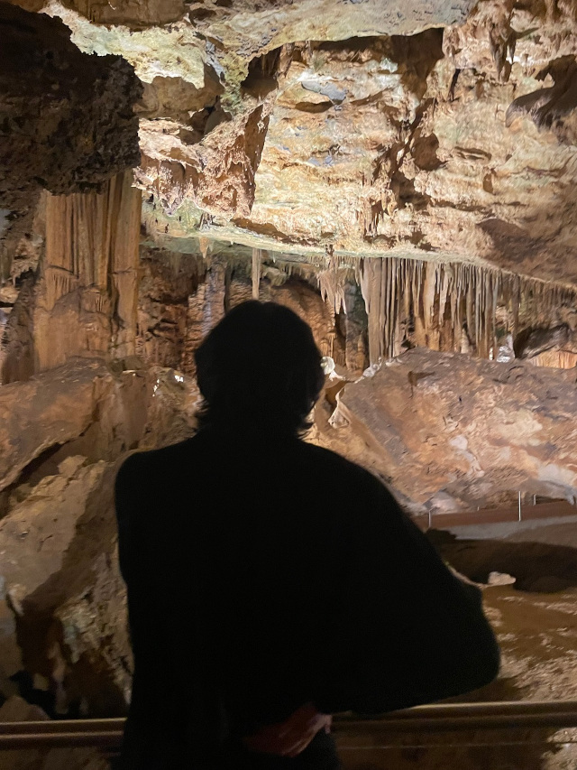 image of someone looking at the Luray Caverns